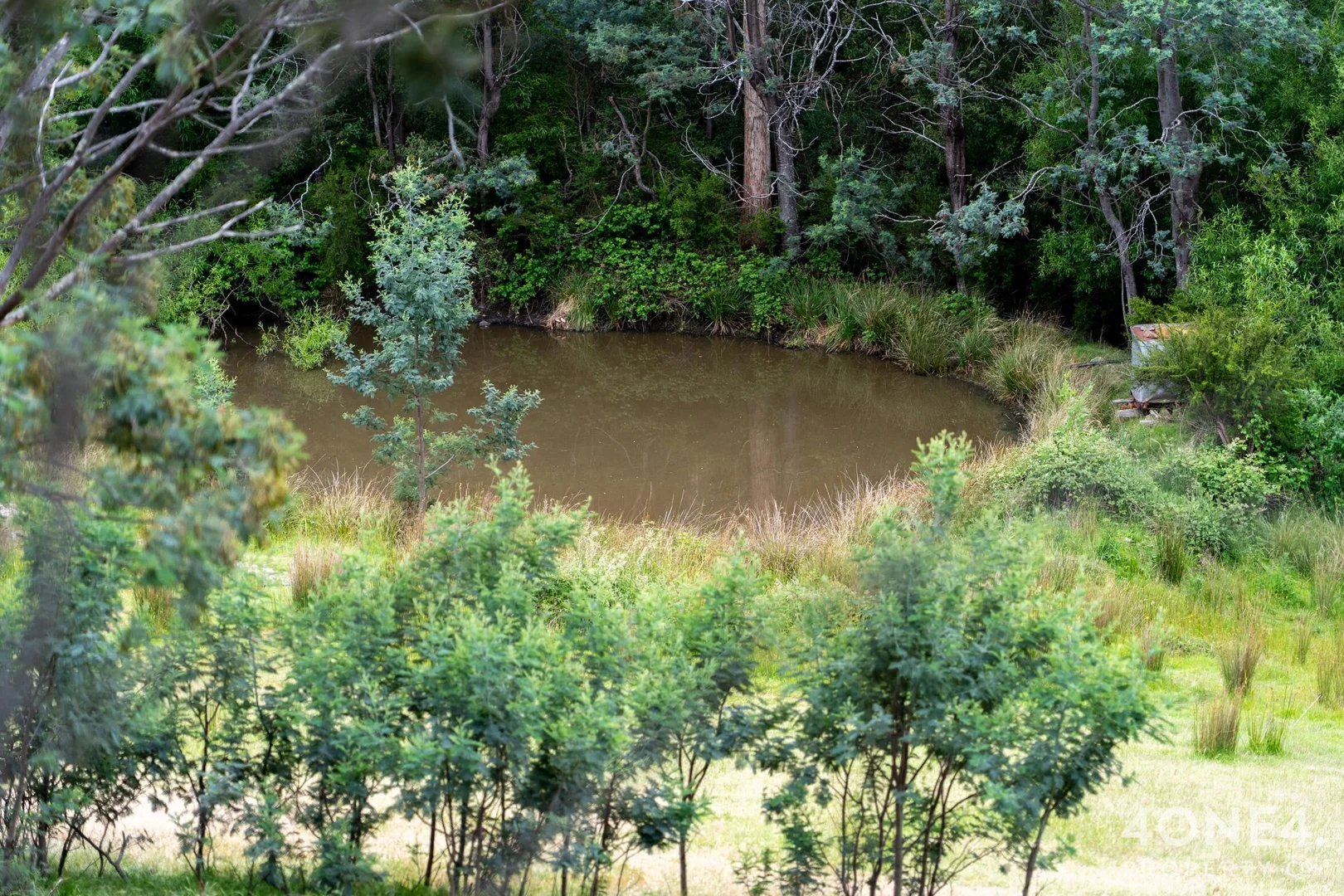 Additional image 4 of 228 Church Road, Dromedary TAS 7030