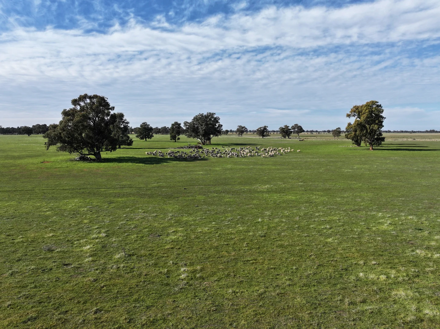 Additional image 3 of Berrigan Oaklands Road, Berrigan NSW 2712