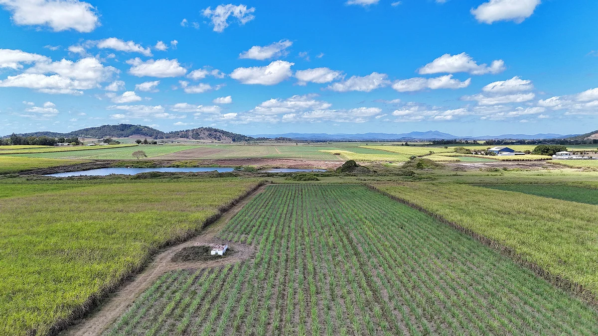 Additional image 7 of 1 Kochs Road, Farleigh QLD 4741