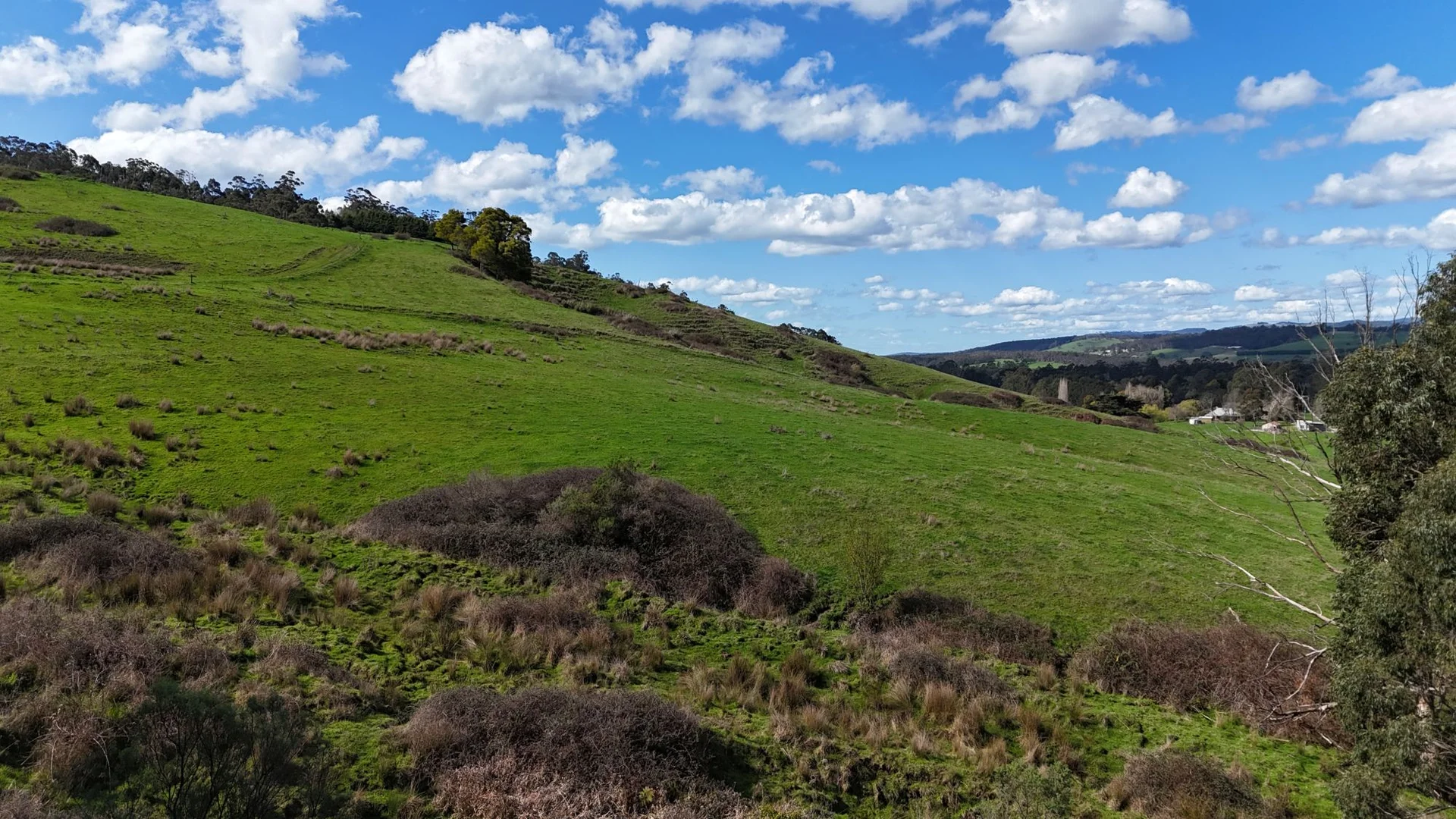 Additional image 12 of 141 BUNDERRA DRIVE, Boolarra VIC 3870