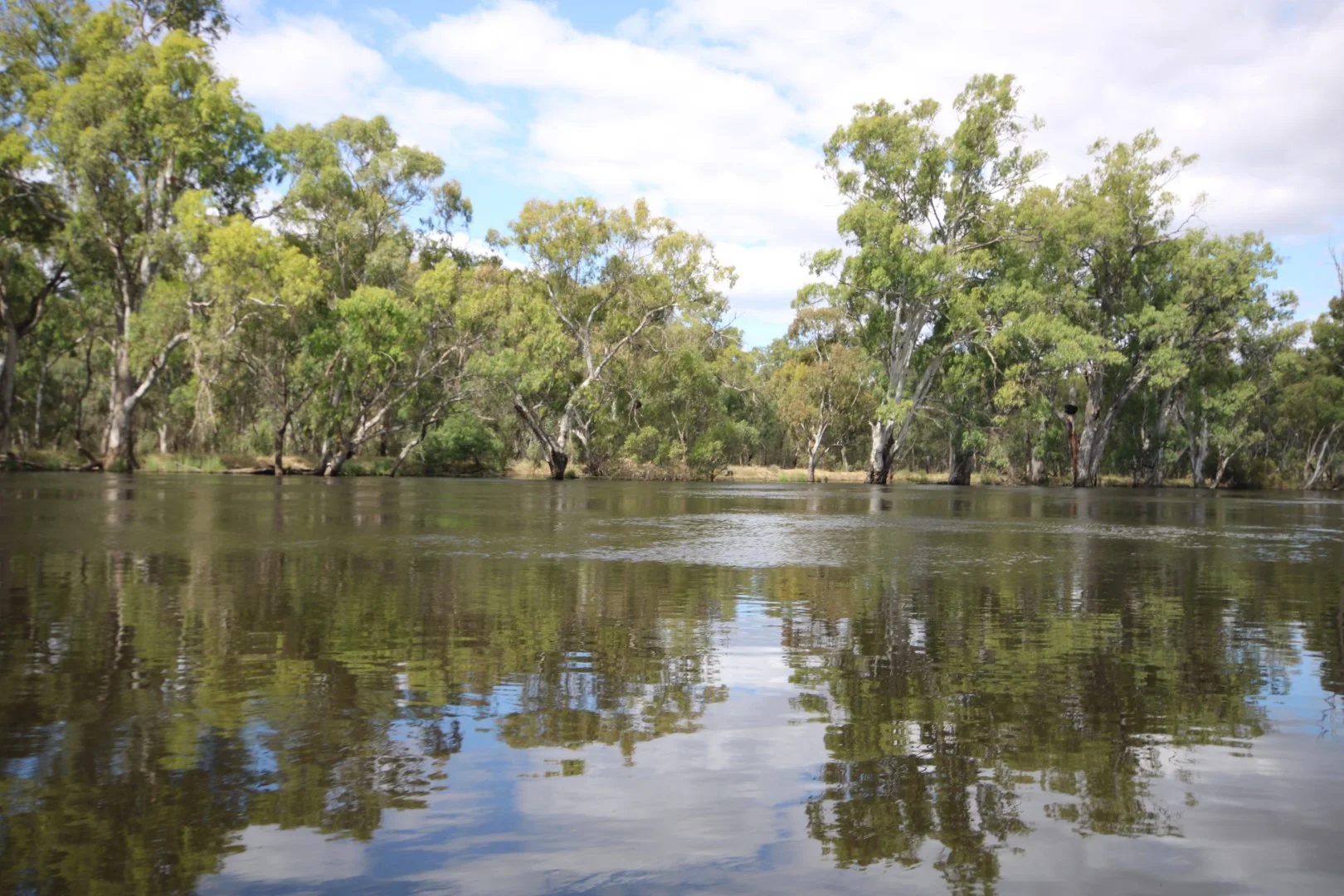 Additional image 3 of 164 Morton Lane,, Benjeroop VIC 3579