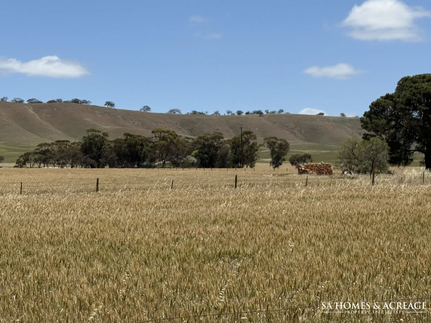 Additional image 9 of Section 407 & 408 Hills Road, Robertstown SA 5381