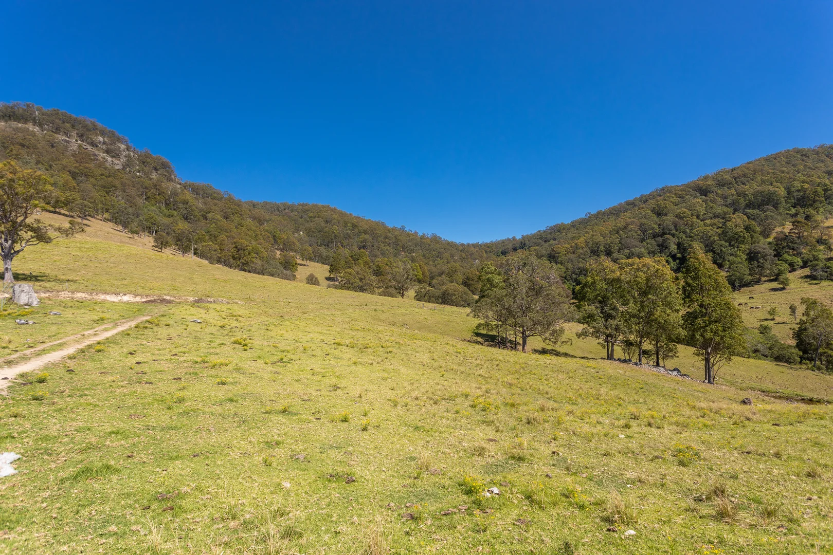 Additional image 10 of 233 Thunderbolts Way, Gloucester NSW 2422