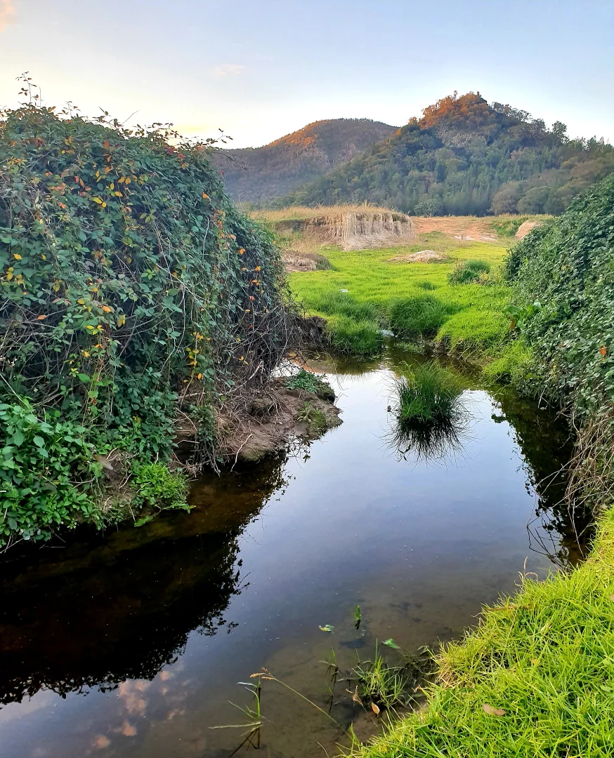 Additional image 26 of 1124 WARKTON ROAD, Coonabarabran NSW 2357