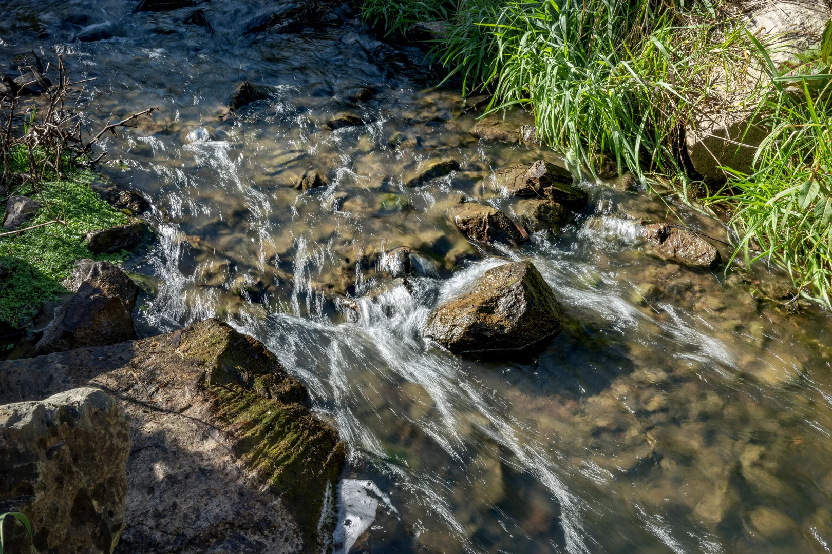 Additional image 10 of 1431 Coramba Road, Dorrigo NSW 2453