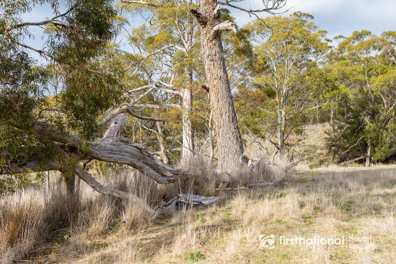 Additional image 20 of Lot 1 Lennon Road, North Bruny TAS 7150