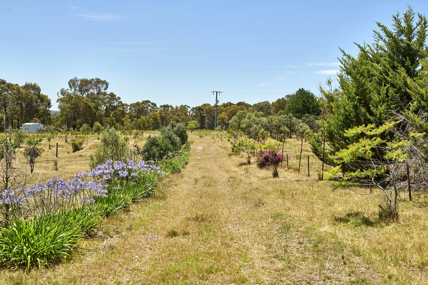 71 Brennan Road, Heathcote VIC 3523