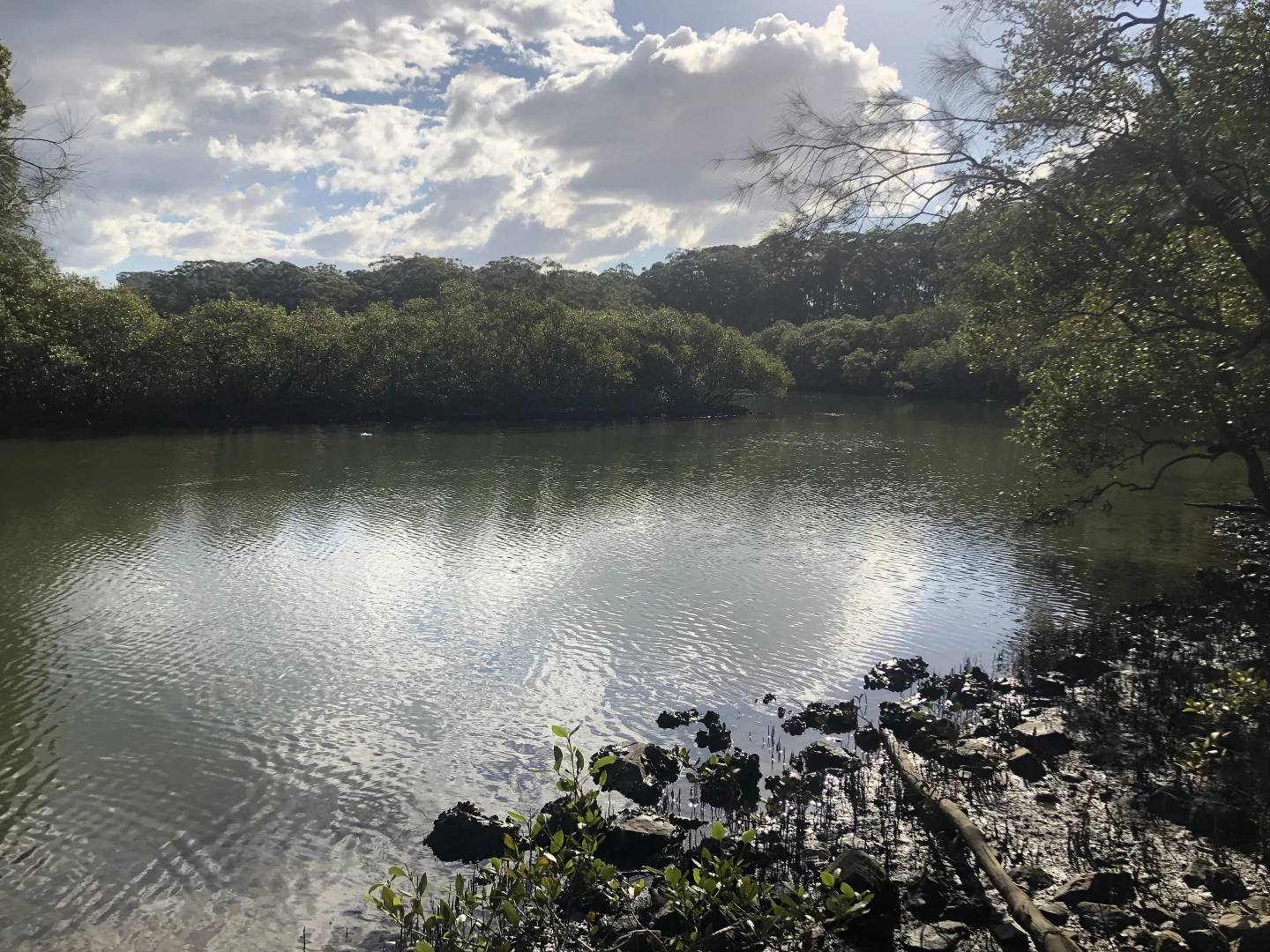 Additional image 5 of Lot 435 Song Trl, Coffs Harbour NSW 2450