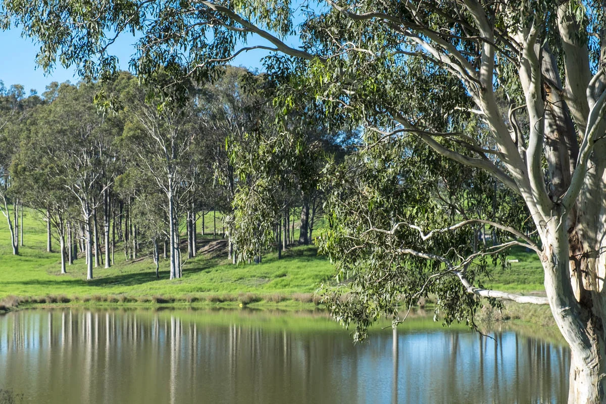 Additional image 6 of Lot 5137 Dunhill Street, Chisholm NSW 2322