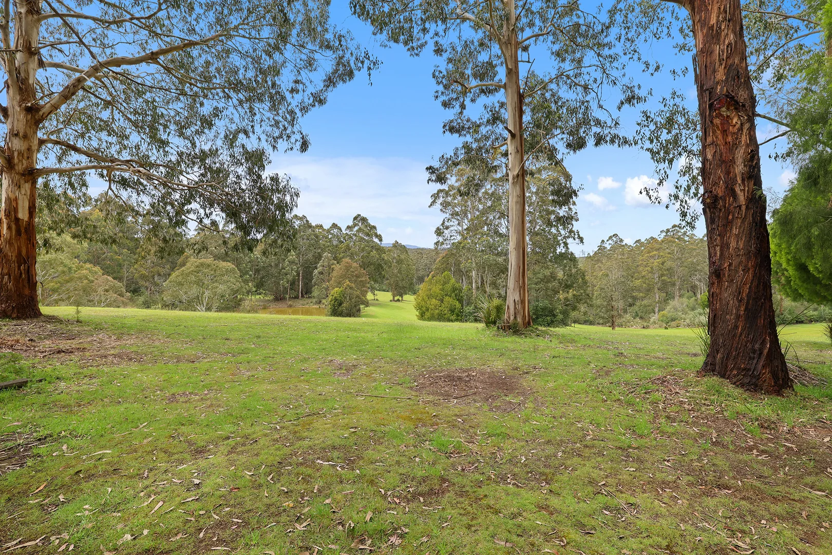 Additional image 15 of 11/2260 Mt Baw Baw Tourist Road, Icy Creek VIC 3833