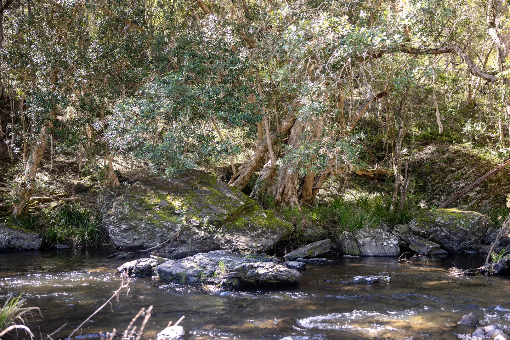 Additional image 18 of 2469 Cells Road, Cells River NSW 2424