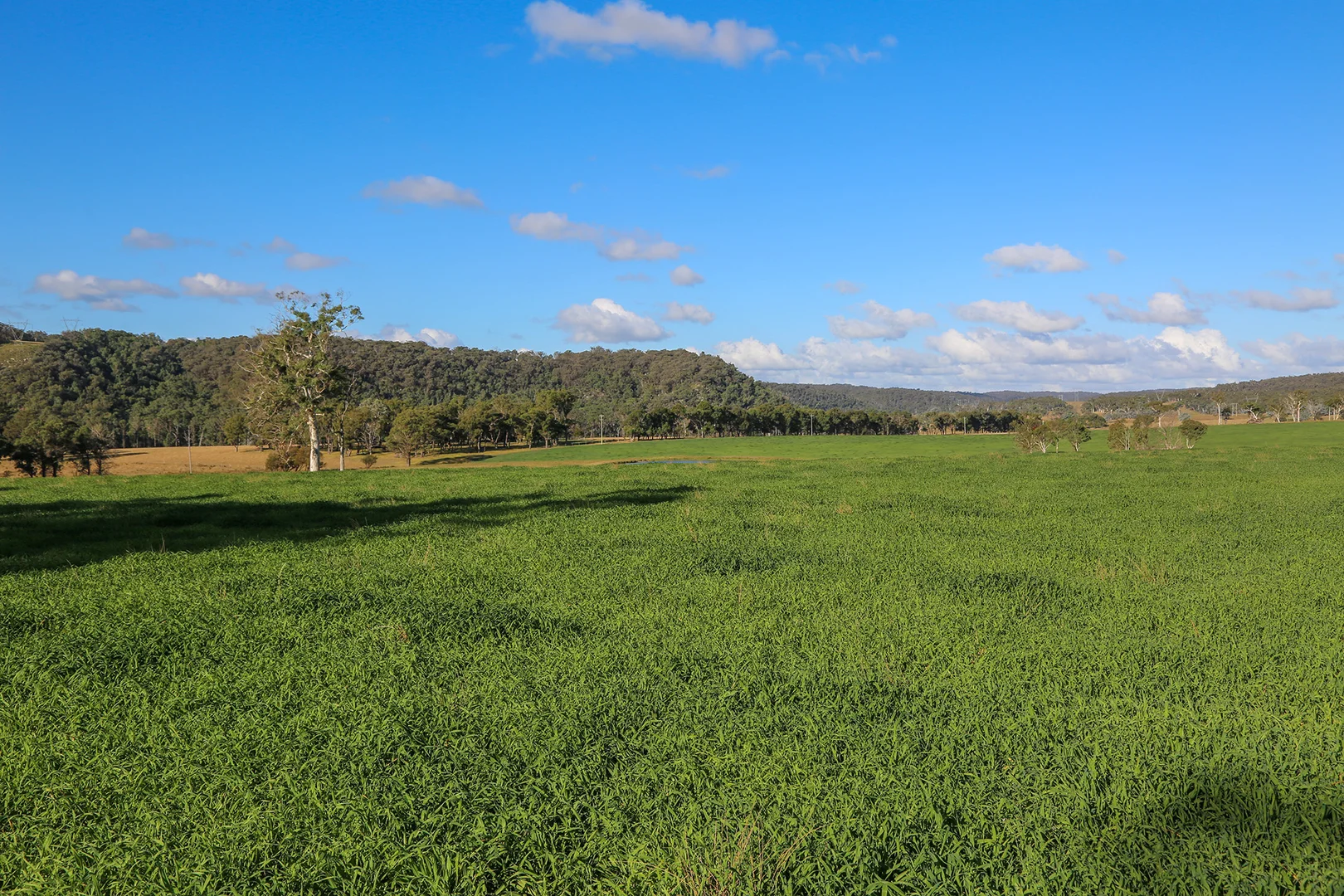 Additional image 4 of 710 Inverary Road, Paddys River NSW 2577