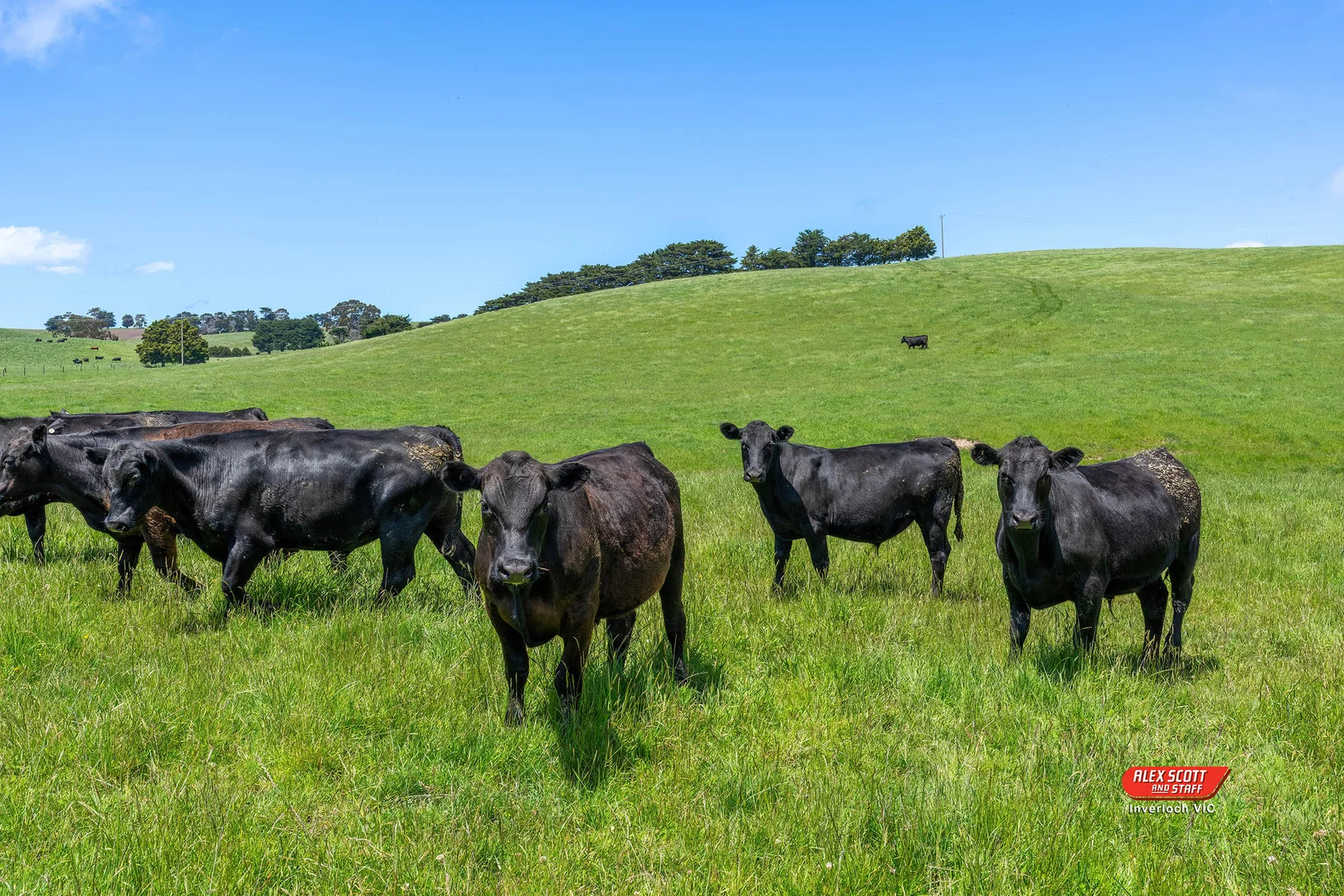 Additional image 9 of Lot 2 Kongwak Road, Glen Alvie VIC 3979