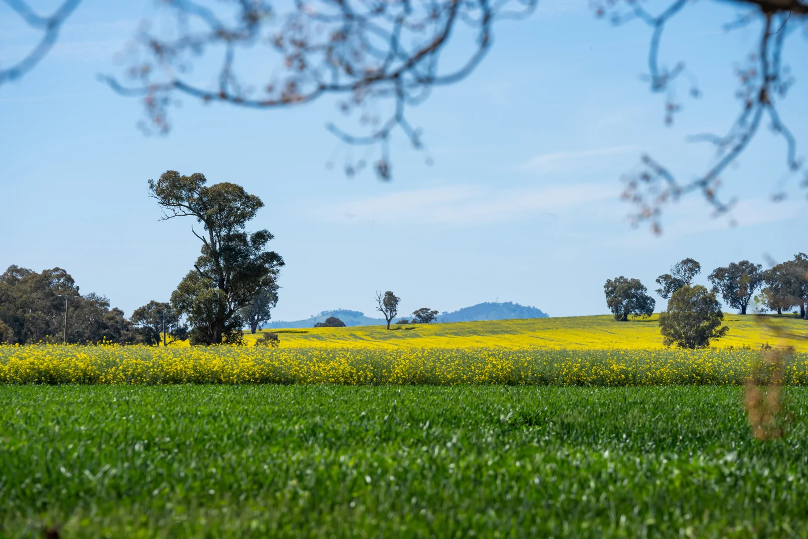Additional image 26 of 106 Cornishtown Road, Rutherglen VIC 3685