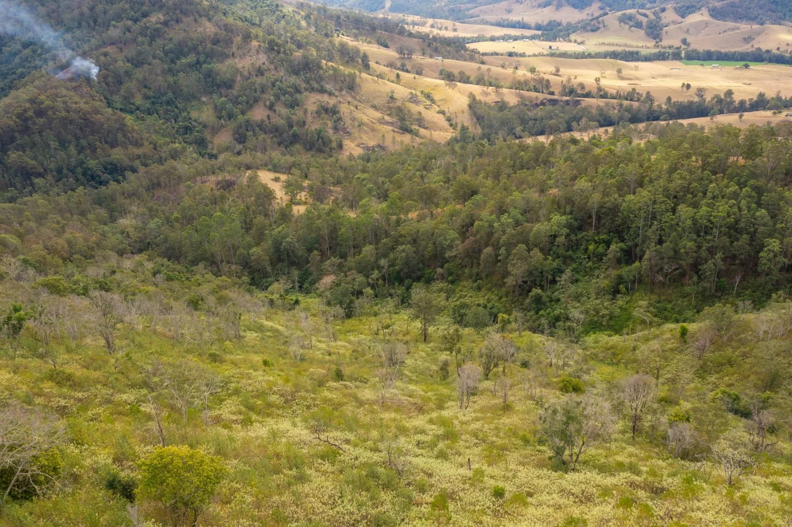 Additional image 20 of Lot 24 209 Tobins River Road, Mount Seaview NSW 2446