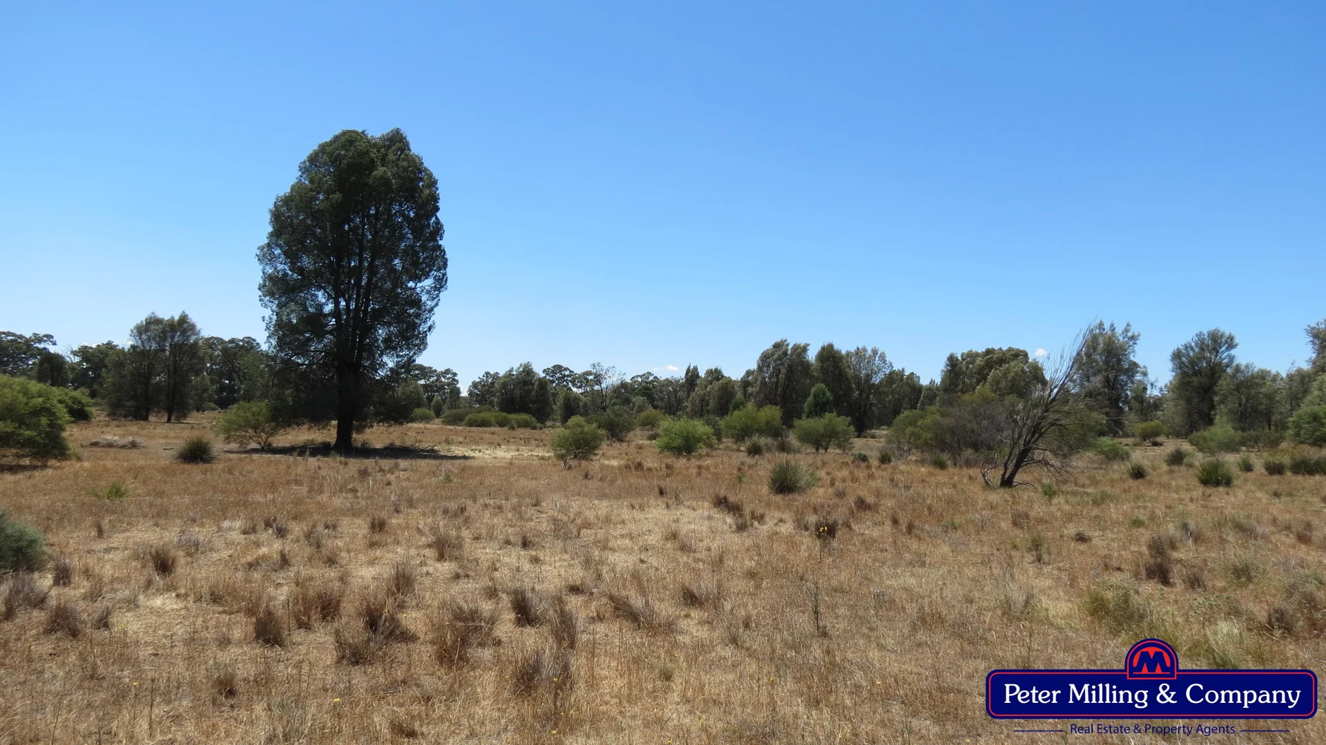 Additional image 5 of - Hennessys Road, Dubbo NSW 2830