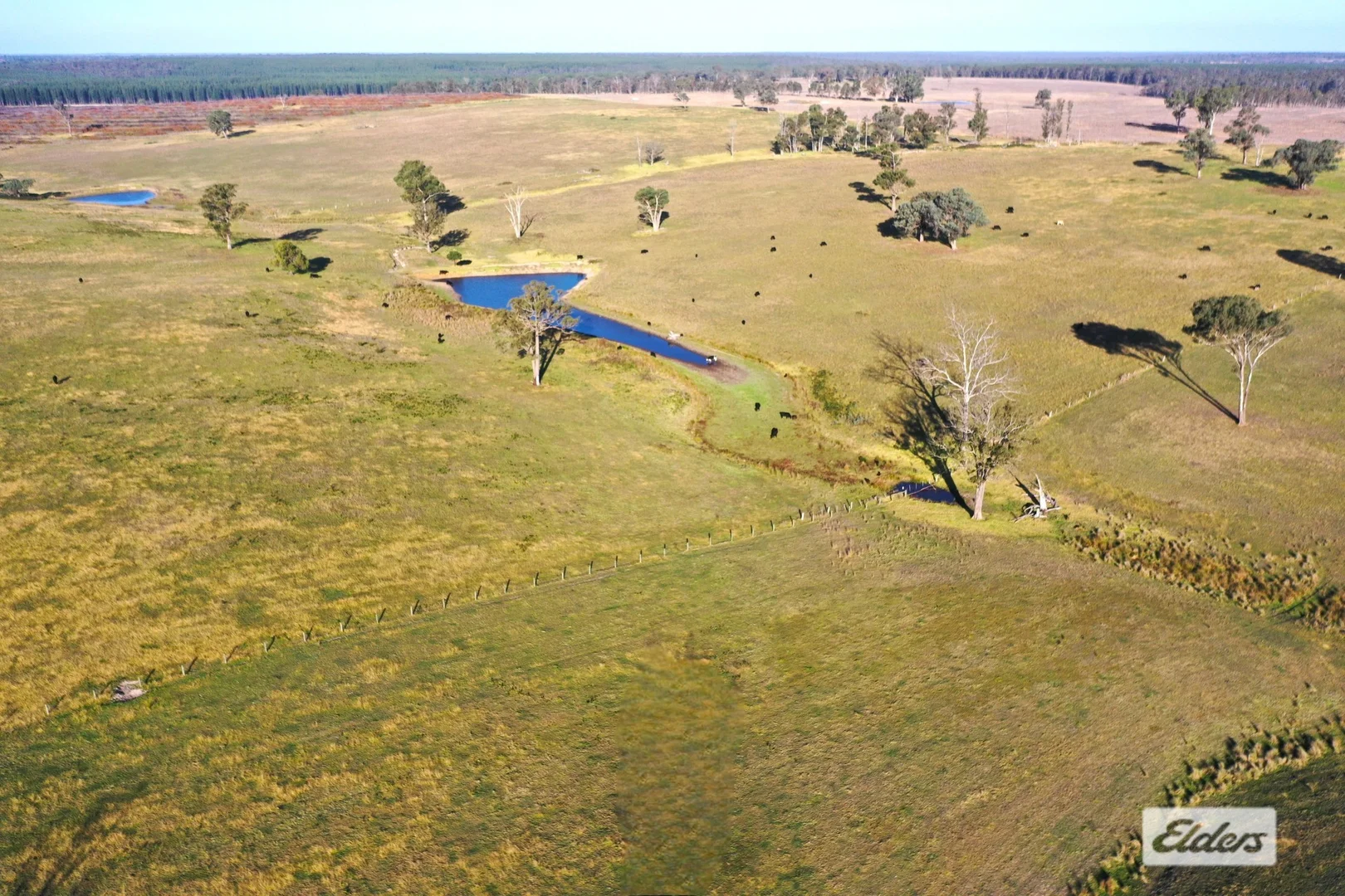 Additional image 4 of 322 Stockdale - Fernbank Road, Stockdale VIC 3862