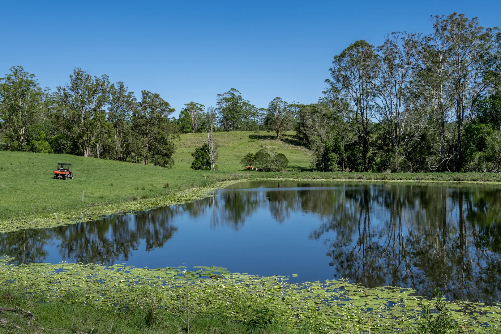 Additional image 20 of 148 Pine Log Road, Doon Doon NSW 2484