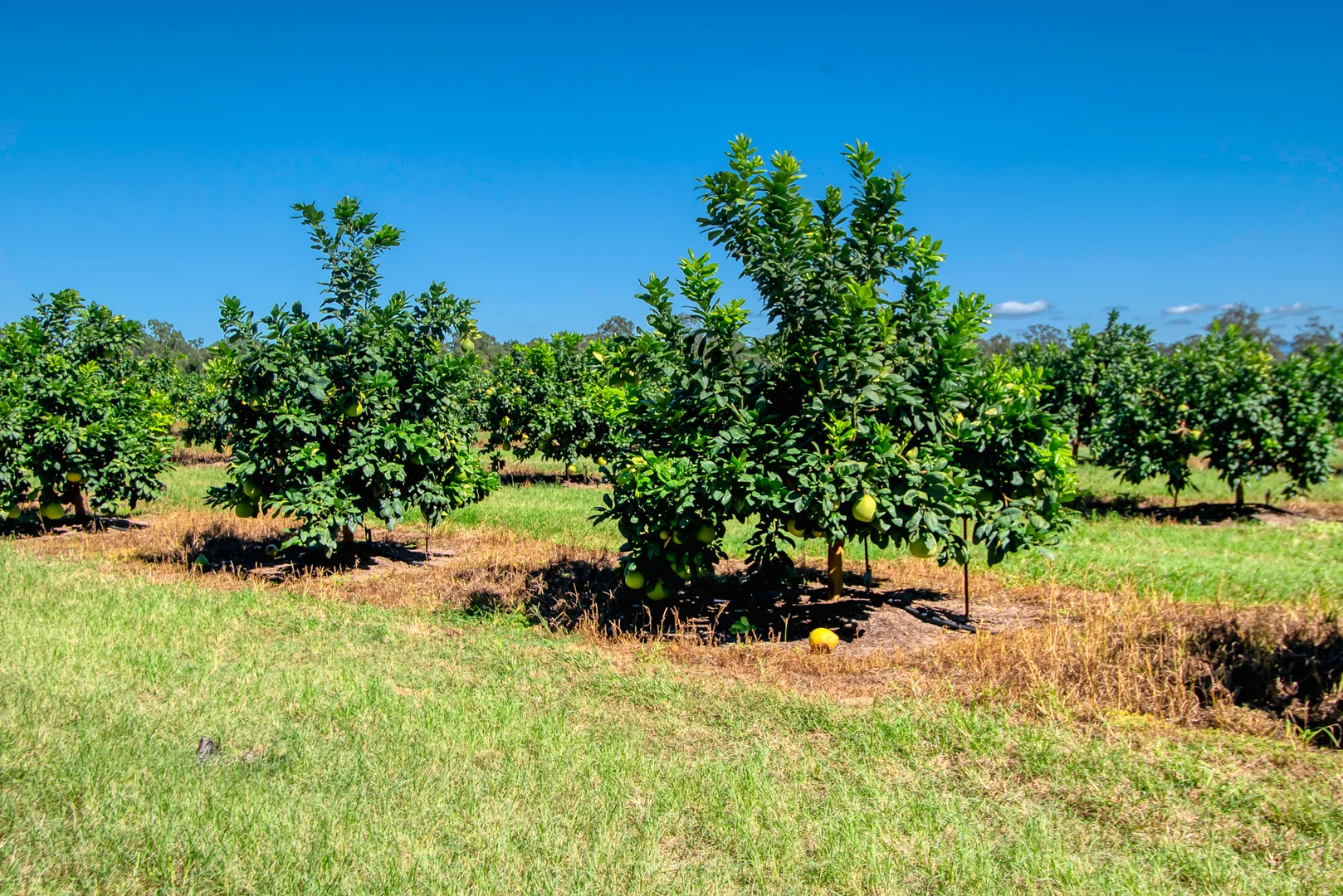 Additional image 24 of 57 Larsens Road, Coominya QLD 4311