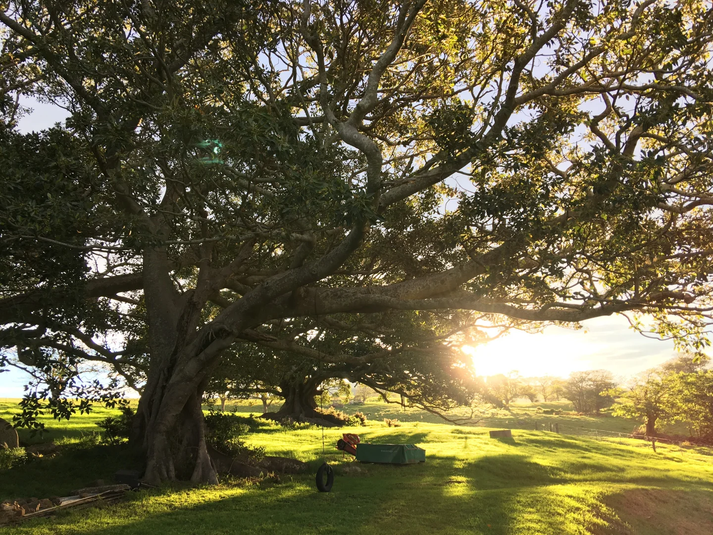 Additional image 9 of 164 Princes Highway, Kiama NSW 2533