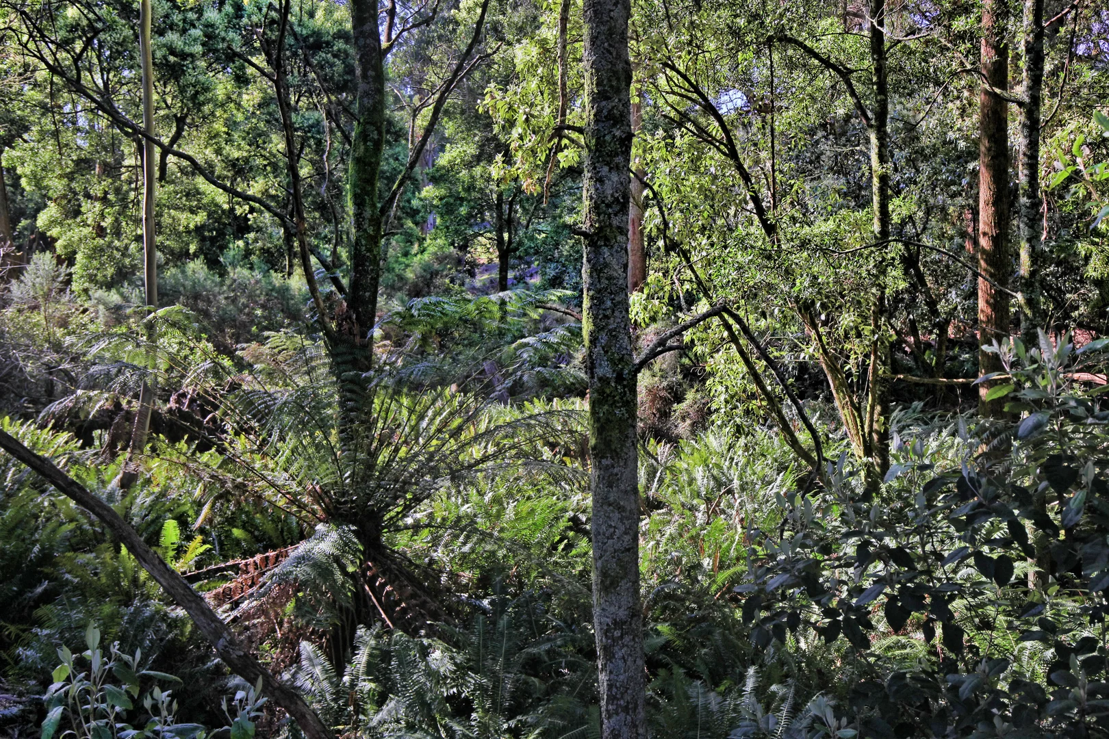 Additional image 23 of 131 Shannons Lane, Kerrie VIC 3434