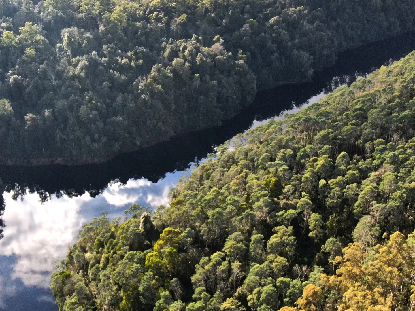 Additional image 13 of 12384 Murchison Highway, Rosebery TAS 7470