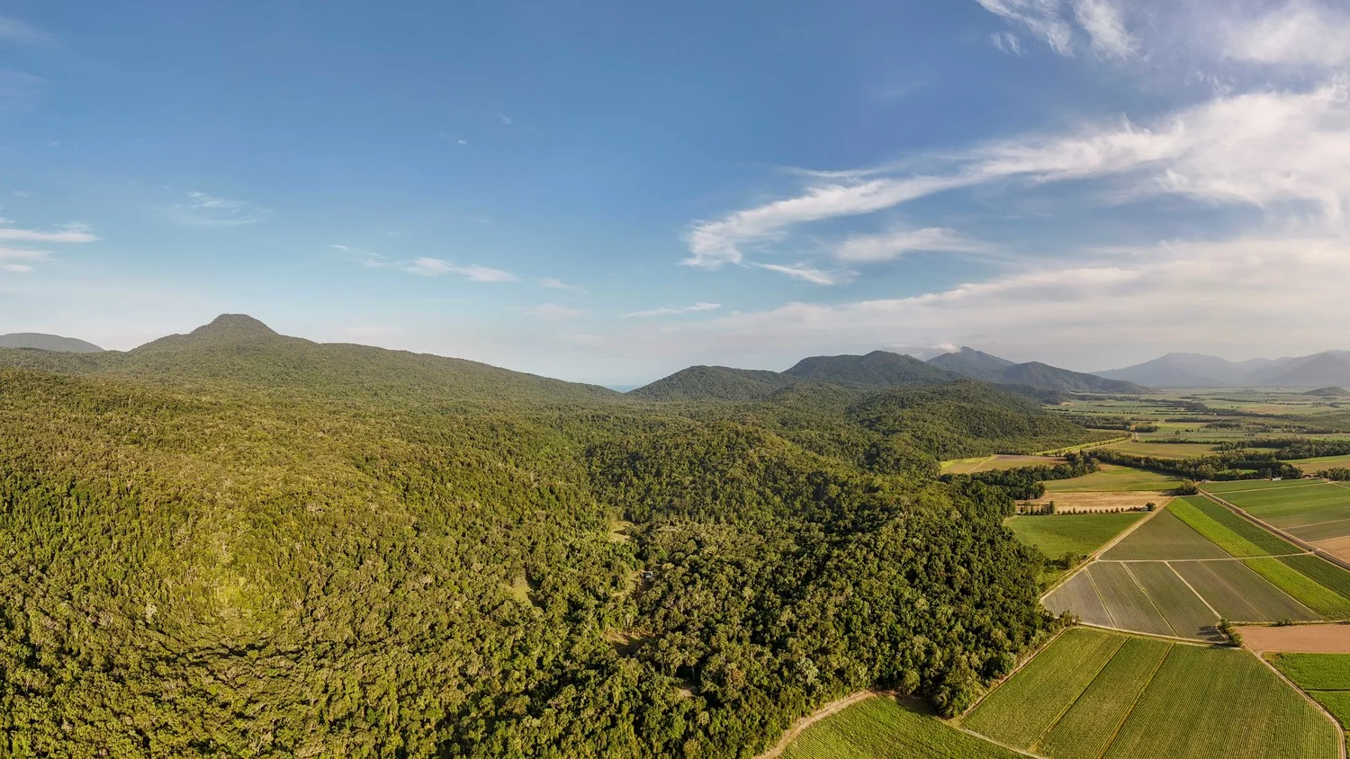 Additional image 17 of 1060 Pine Creek Yarrabah Road, East Trinity QLD 4871