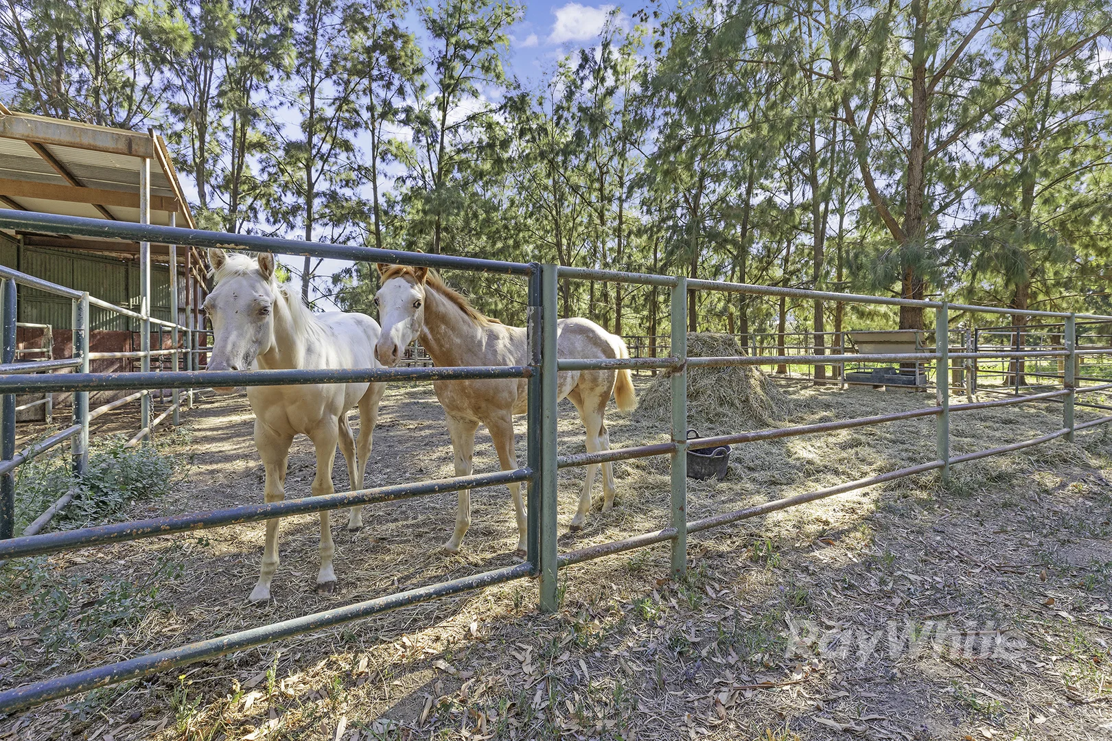 Additional image 24 of 2005 Henderson Road, Girgarre VIC 3624
