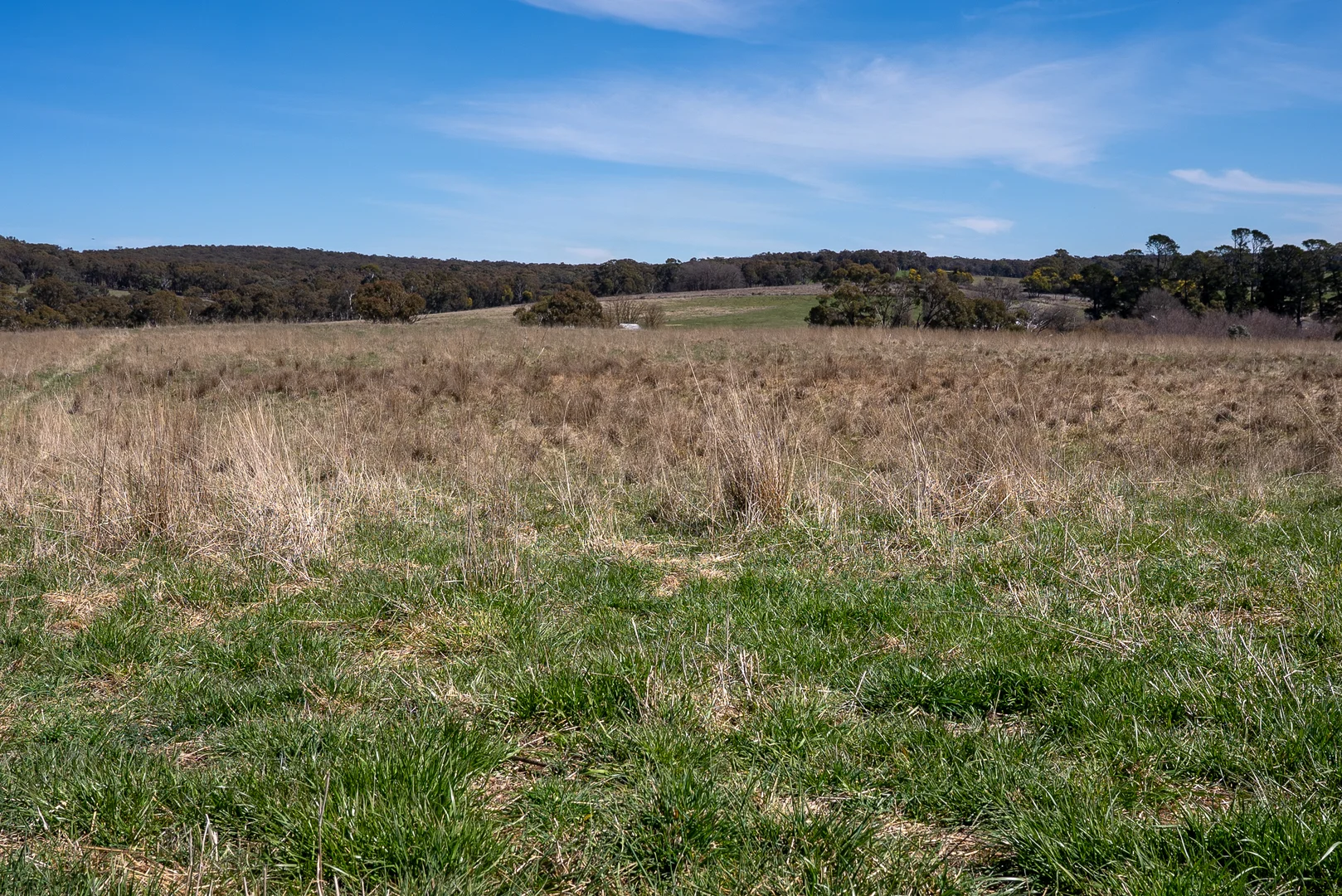 Additional image 32 of 5353 Trunkey Road, Trunkey Creek NSW 2795