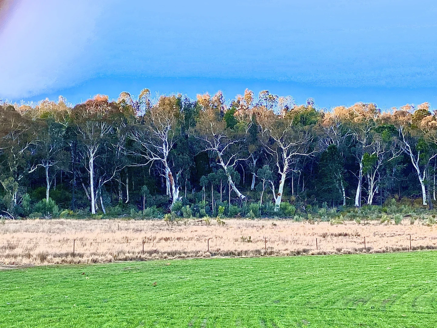 Additional image 28 of 1124 WARKTON ROAD, Coonabarabran NSW 2357