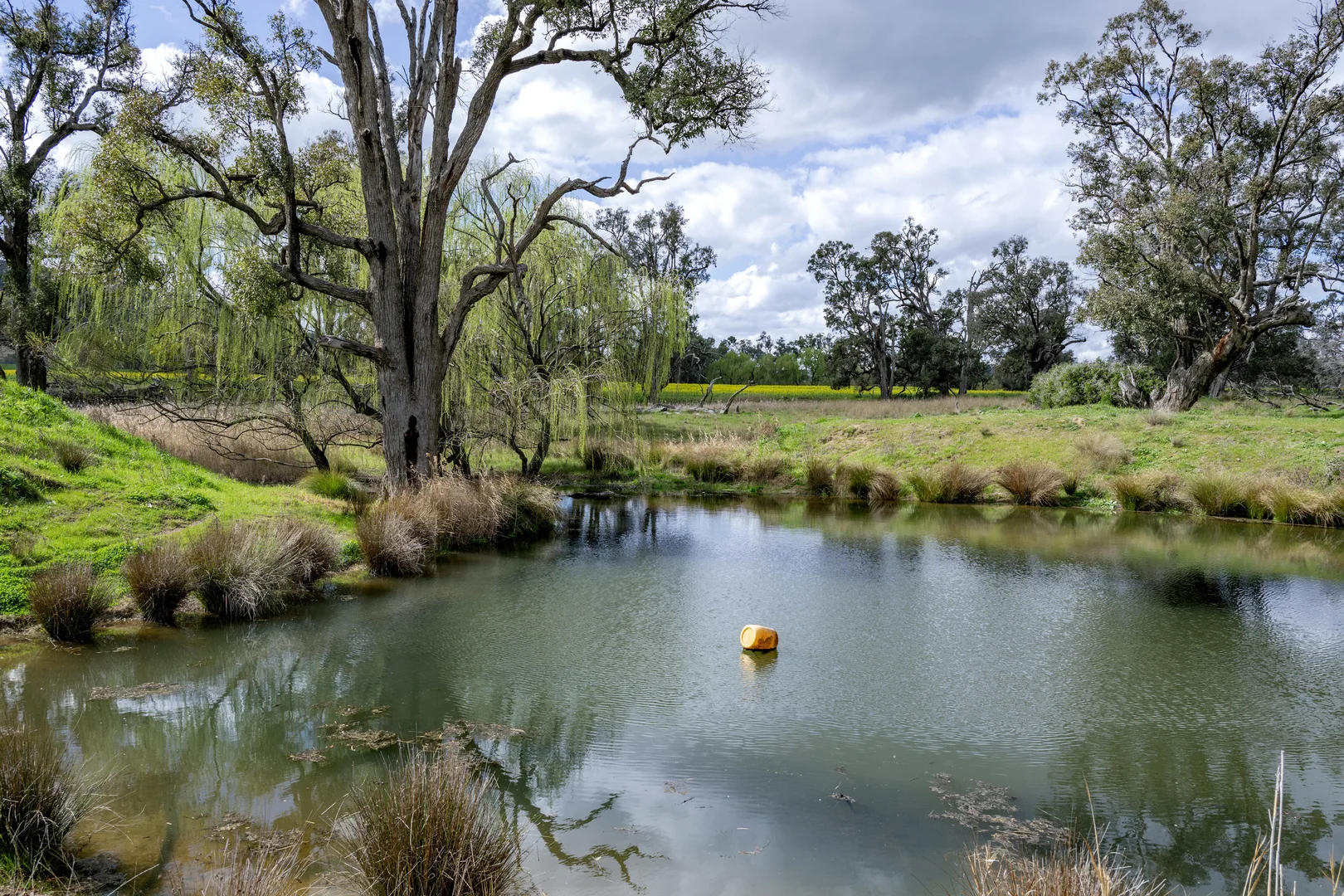 Additional image 5 of Mount Bodangora 5008 Goolma Road, Wellington NSW 2820