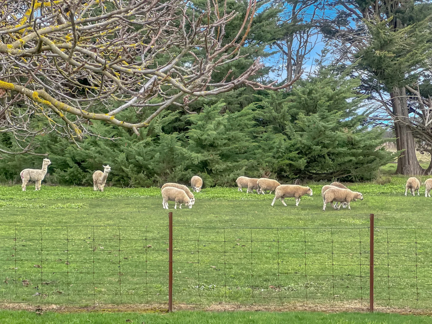 Additional image 13 of 'Hawthorn Park' 83 Sheehans Road, Romsey VIC 3434