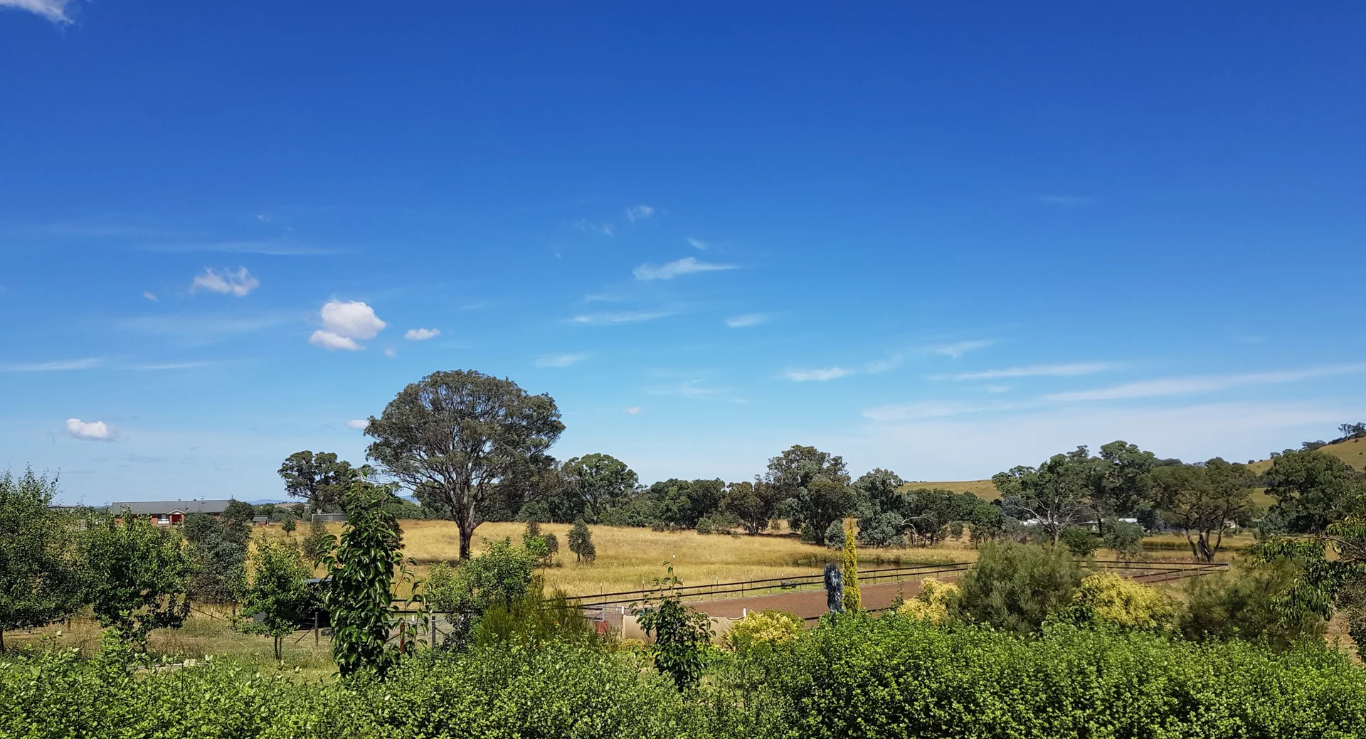 Additional image 20 of 5 STRINGYBARK PLACE, Manton NSW 2582