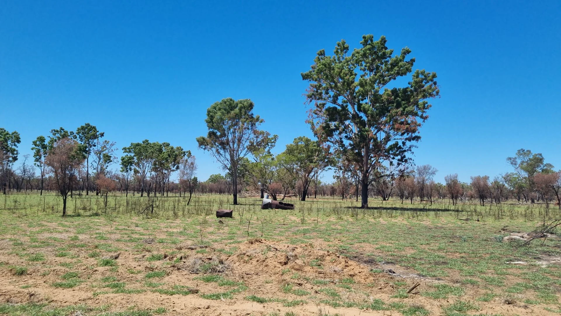 Additional image 7 of 202-410 Wallal Street, Bakers Bend QLD 4470