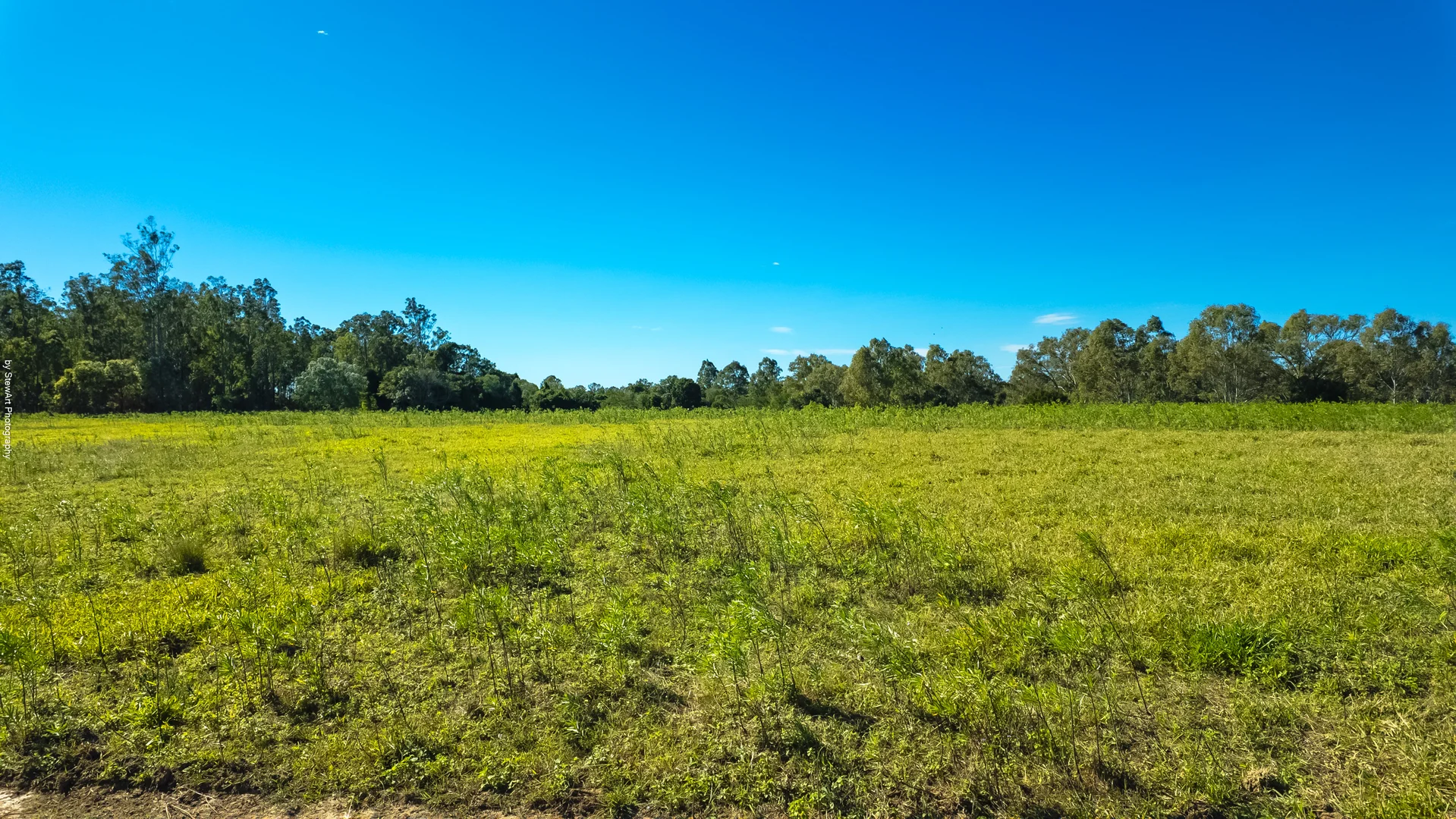 Additional image 13 of 2331 Mungar Road, Tiaro QLD 4650