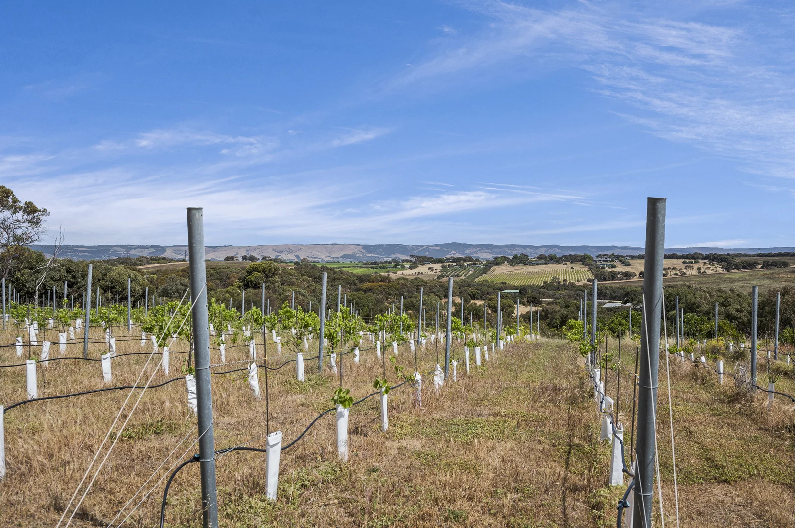 Additional image 38 of 8 Oleander Road, Maslin Beach SA 5170