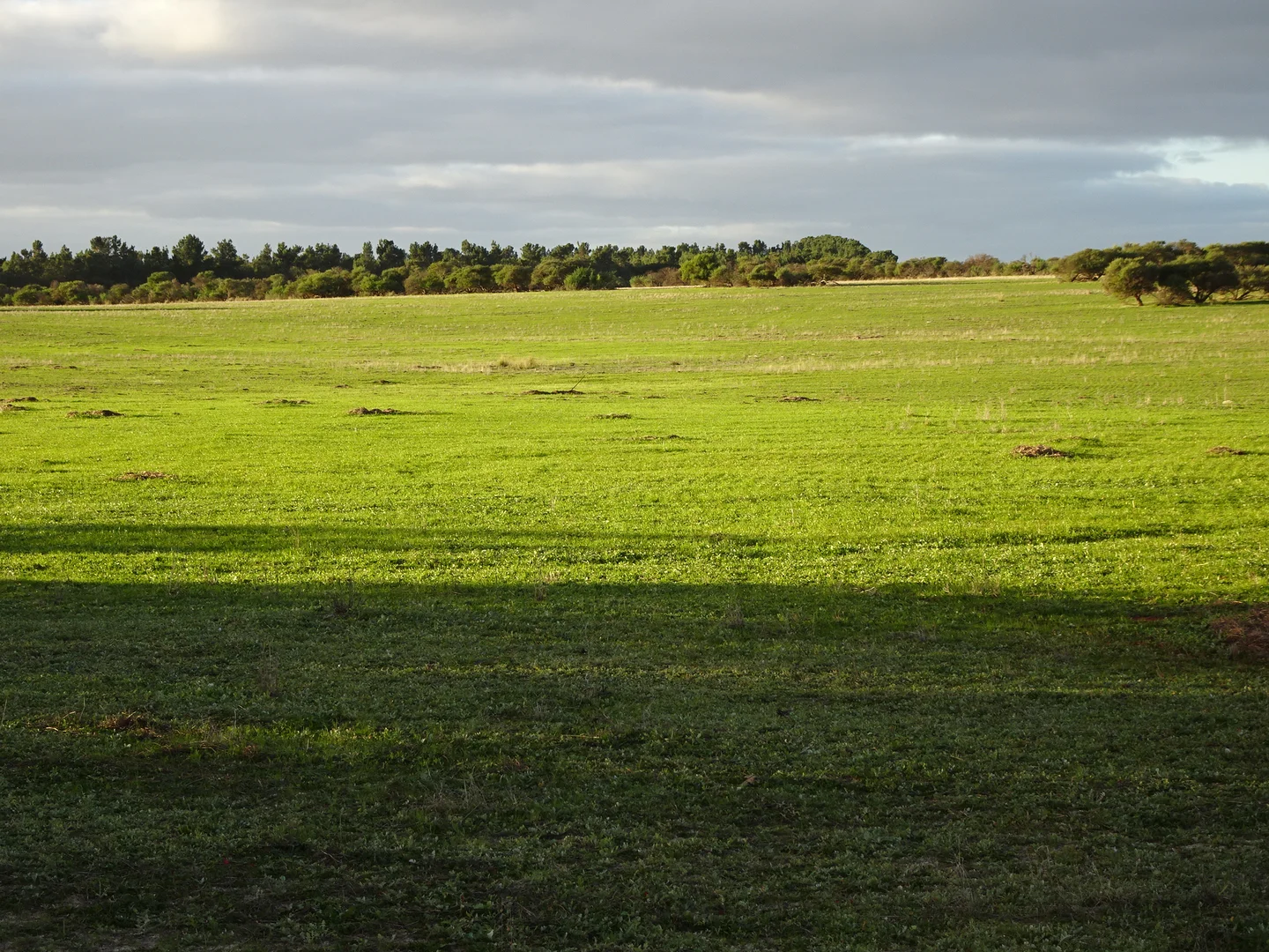 Additional image 12 of Lot 12520 Great Southern Highway, Woodanilling WA 6316