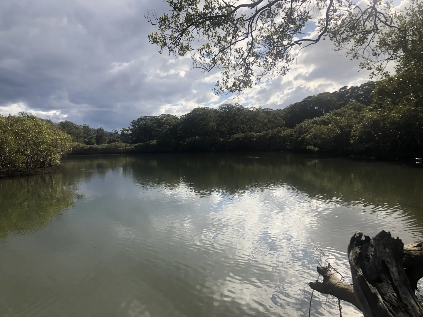 Additional image 6 of Lot 435 Song Trl, Coffs Harbour NSW 2450
