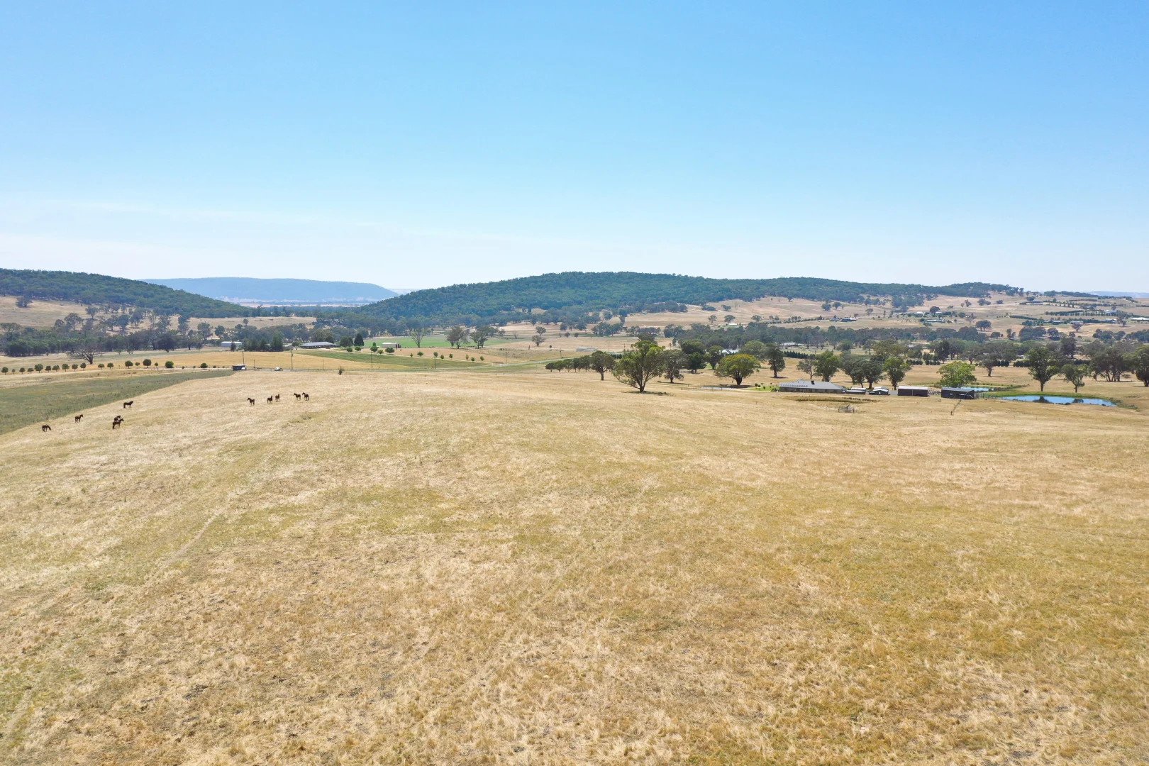 Additional image 7 of 195 Wambanumba Drive, Young NSW 2594