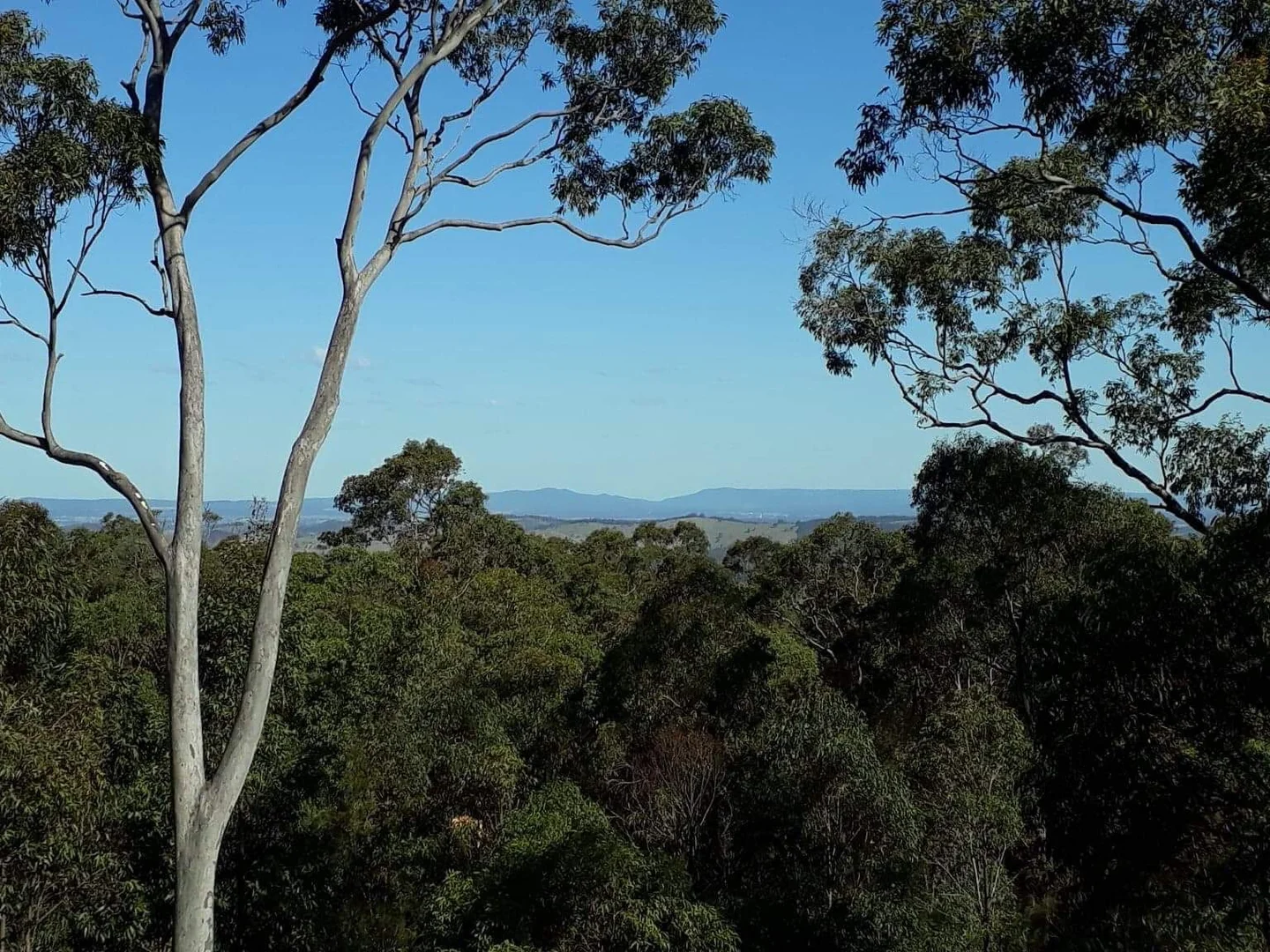 Additional image 5 of 584 Moonabung Rd, Vacy NSW 2421