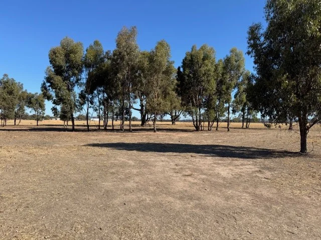 Additional image 12 of CA8B Boort Kurting Road, Kurting VIC 3517