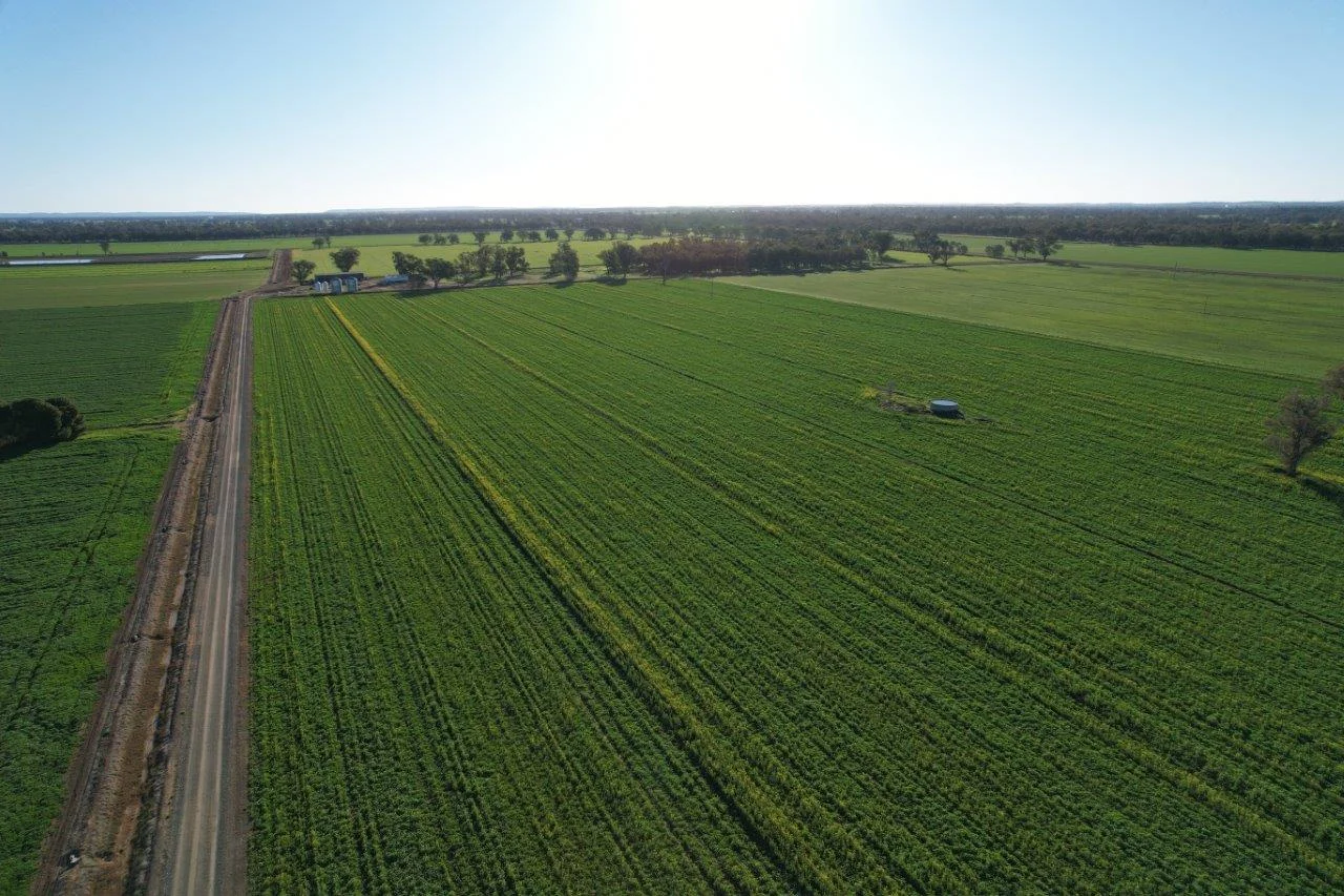 Additional image 8 of 8065 Lachlan Valley Way, Forbes NSW 2871