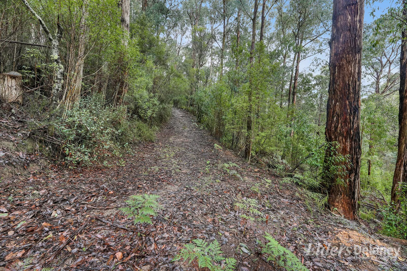 Additional image 12 of 134 Duggan North Road, Fumina VIC 3825