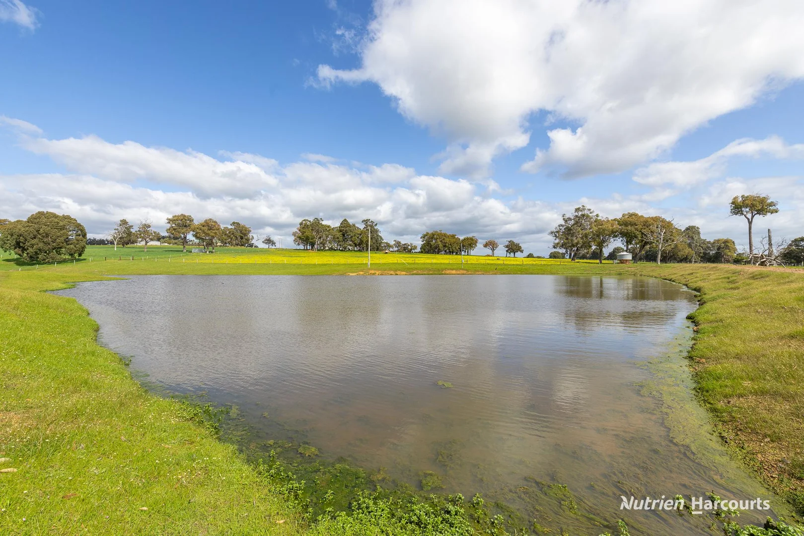 Additional image 19 of 279 Giumelli Road, Henty WA 6236