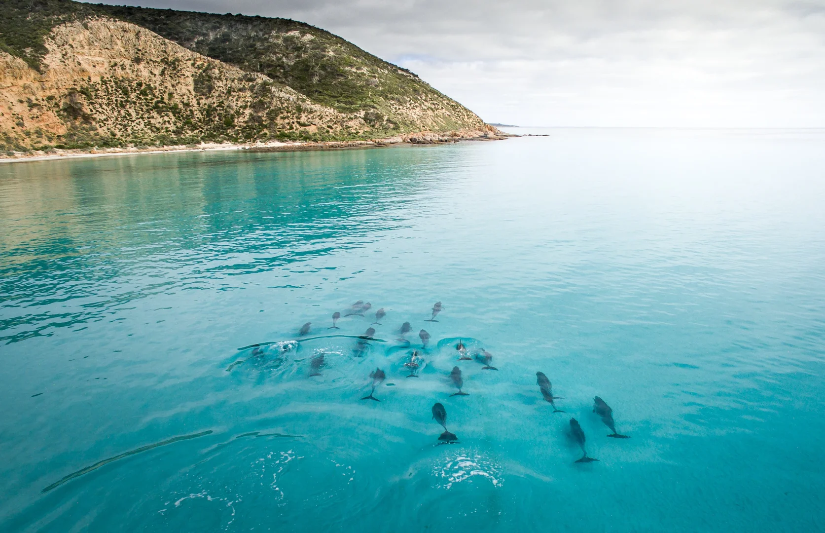 Additional image 10 of 25 Whalers Drive, Port Lincoln SA 5606