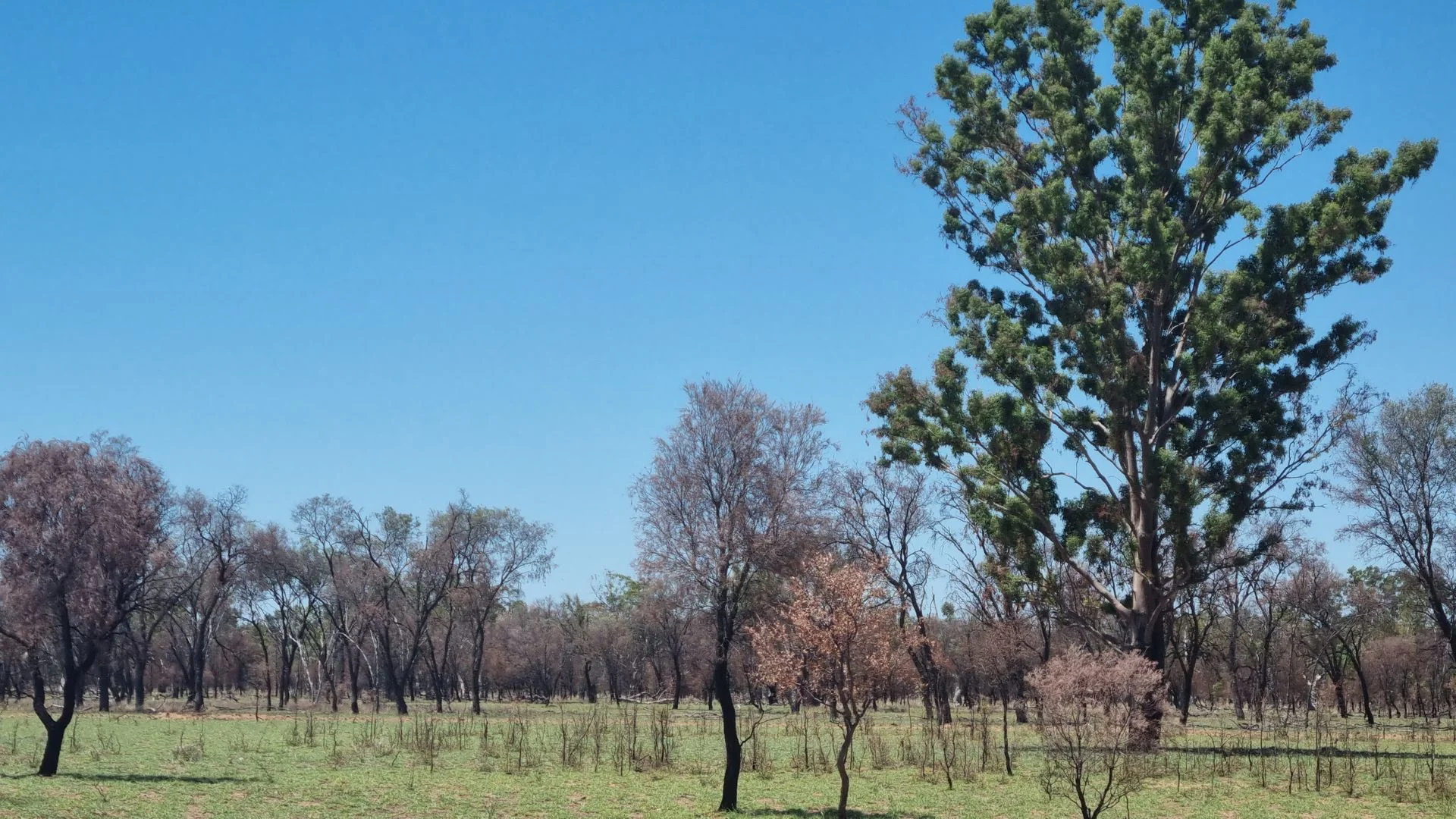 Additional image 2 of 202-410 Wallal Street, Bakers Bend QLD 4470