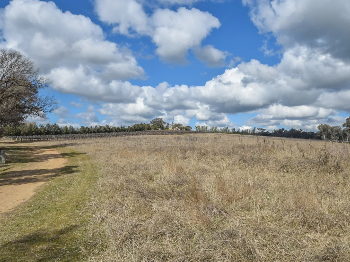 Additional image 21 of 155 Tierneys Road, Young NSW 2594