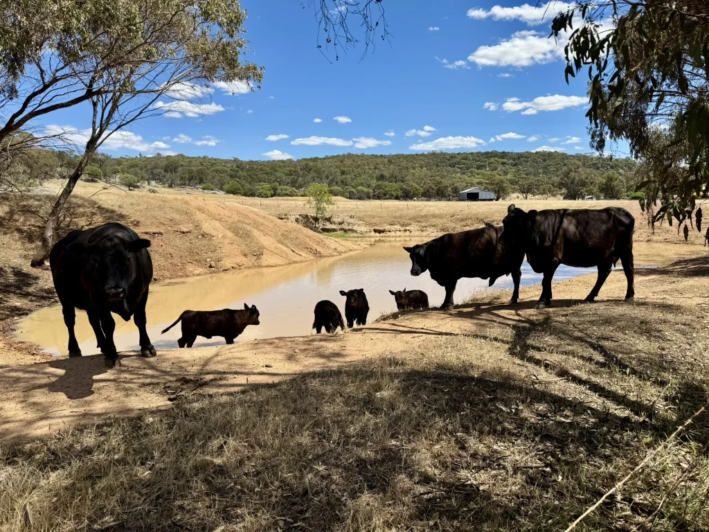 Additional image 29 of 90 Hobbs Road, Dale WA 6304