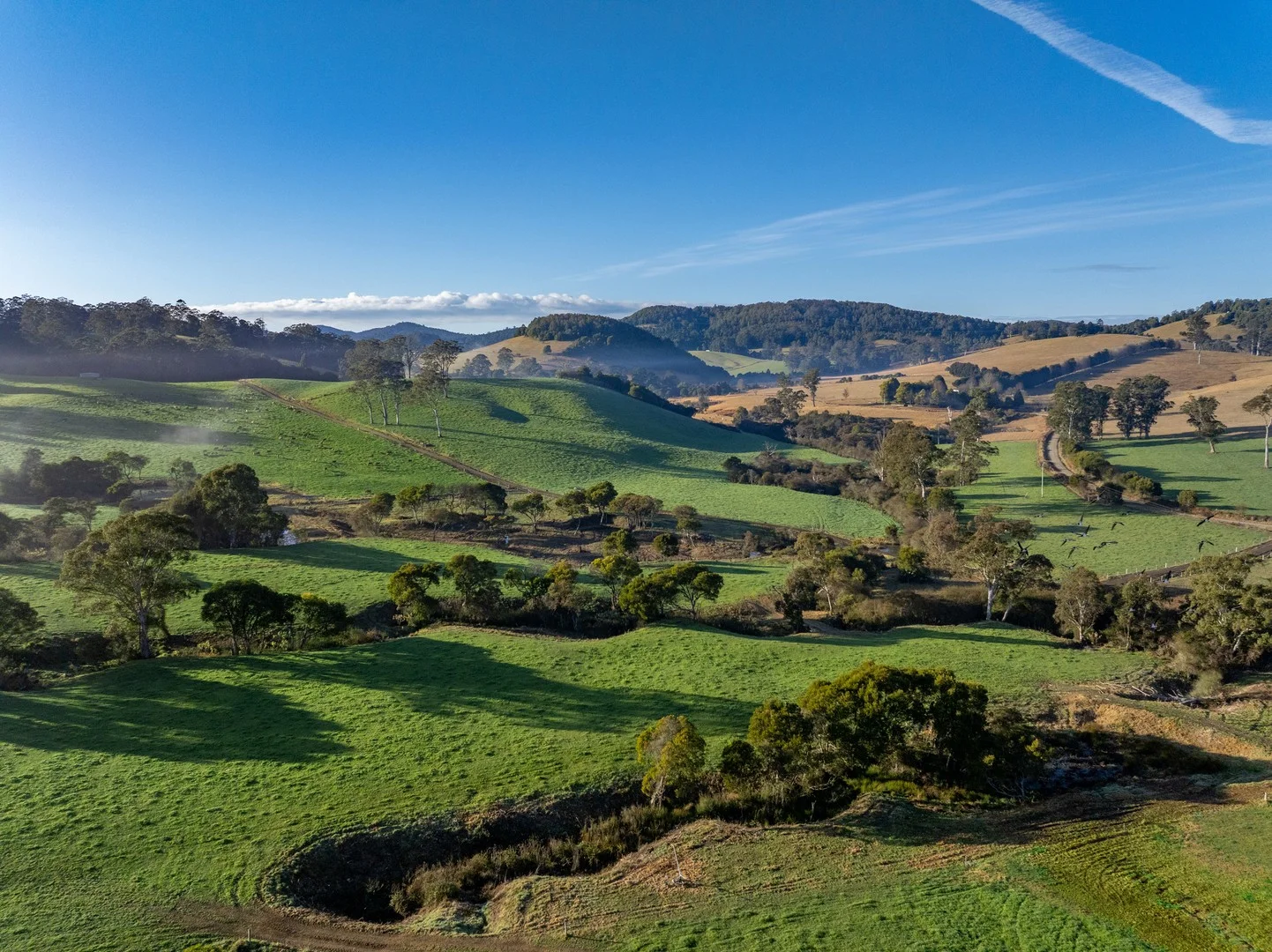 Additional image 3 of 1431 Coramba Road, Dorrigo NSW 2453