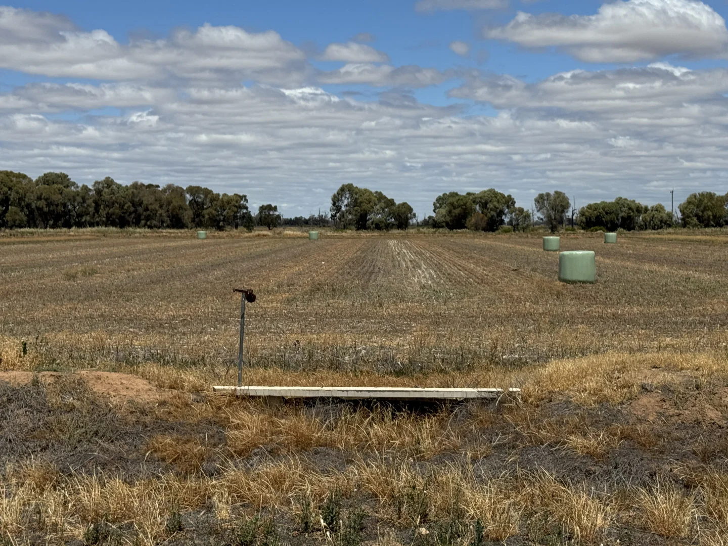 Additional image 24 of 819 Mayrung Road, Deniliquin NSW 2710